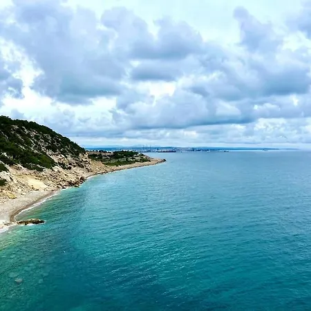 With Spectacular Views